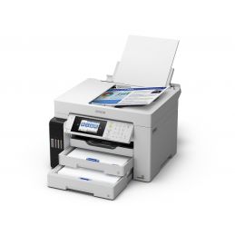 Printer Epson L15160