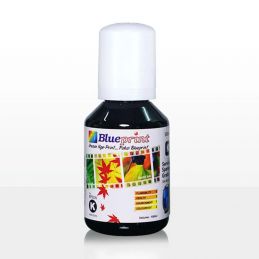BLUEPRINT 100ML EPSON 003 BLACK