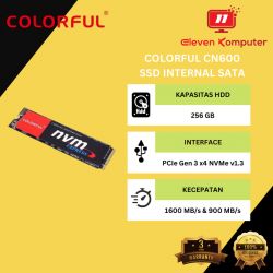HDD SSD Colorful M.2 NVME CN600 256GB